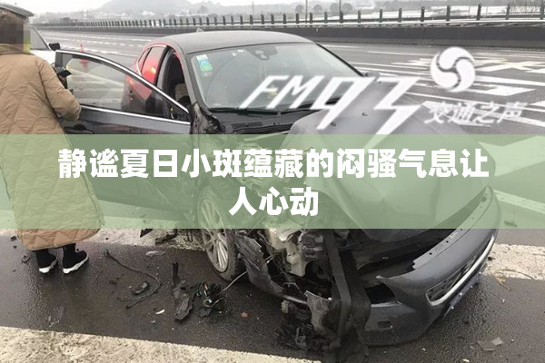 静谧夏日小斑蕴藏的闷骚气息让人心动