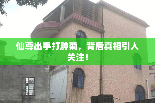 仙尊出手打肿菊，背后真相引人关注！