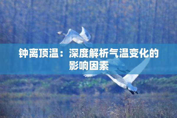 钟离顶温：深度解析气温变化的影响因素
