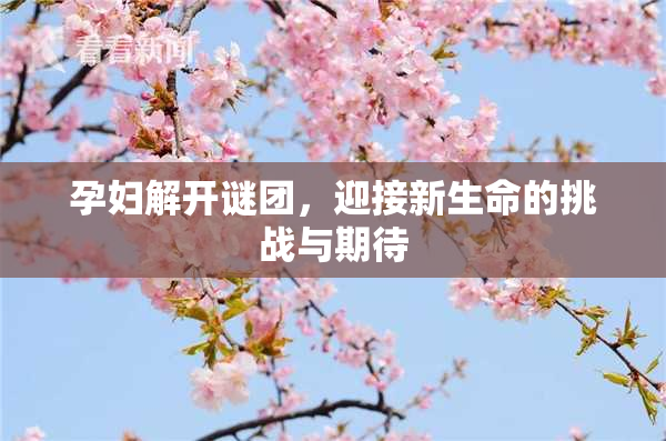 孕妇解开谜团，迎接新生命的挑战与期待