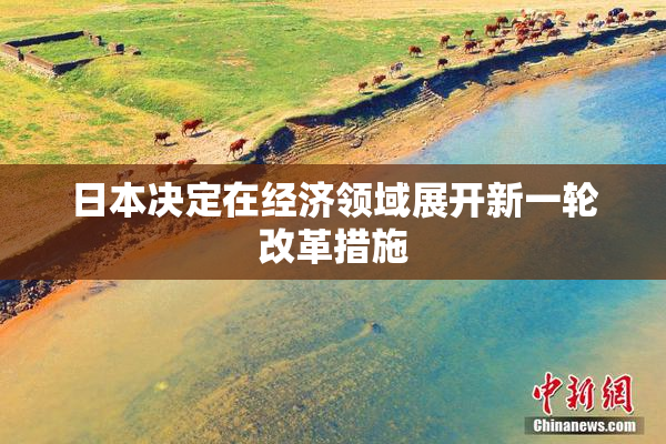 日本决定在经济领域展开新一轮改革措施
