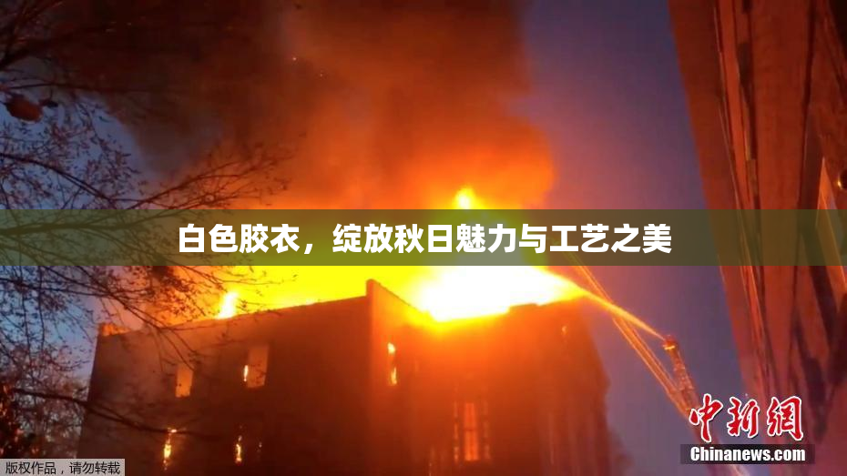 白色胶衣，绽放秋日魅力与工艺之美