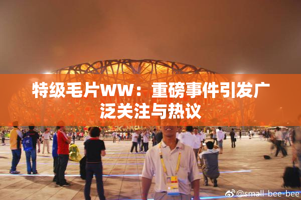 特级毛片WW：重磅事件引发广泛关注与热议