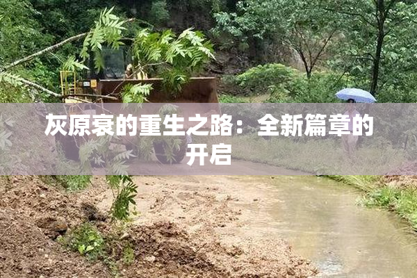 灰原衰的重生之路：全新篇章的开启