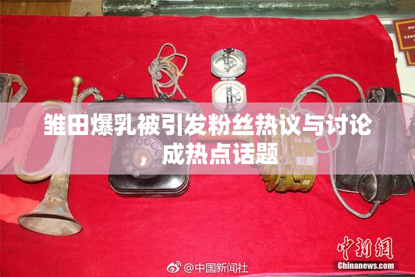 雏田爆乳被引发粉丝热议与讨论，成热点话题