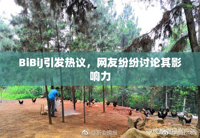 BiBiJ引发热议，网友纷纷讨论其影响力