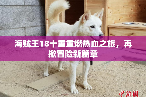 海贼王18十重重燃热血之旅，再掀冒险新篇章
