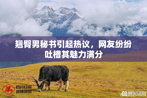 翘臀男秘书引起热议，网友纷纷吐槽其魅力满分