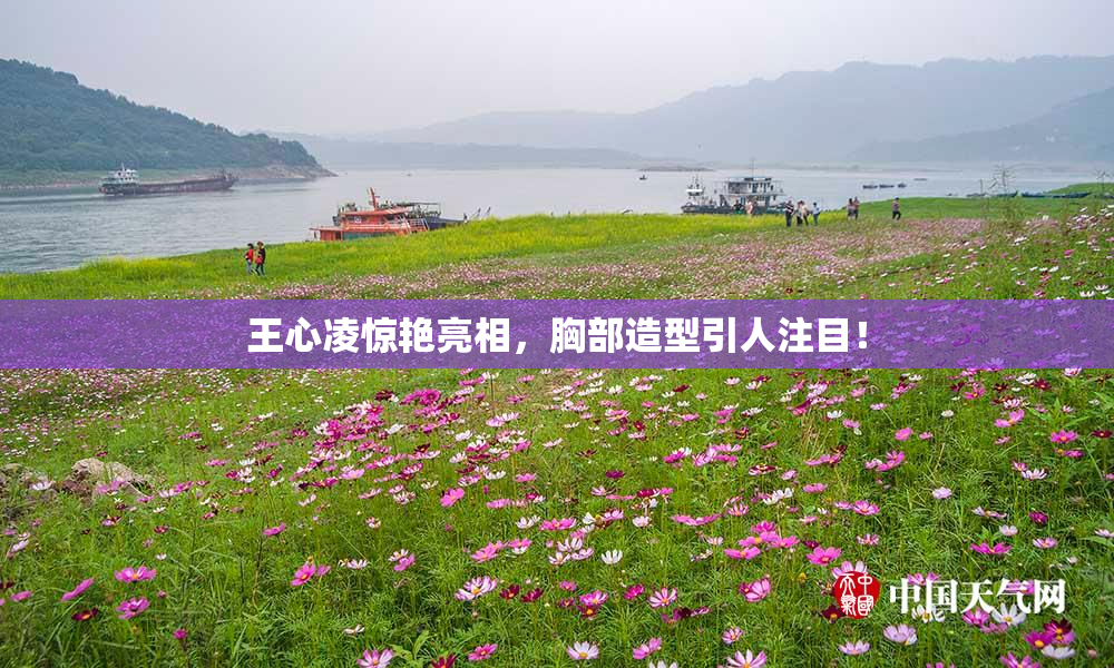 王心凌惊艳亮相，胸部造型引人注目！