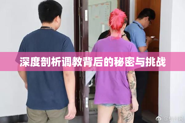 深度剖析调教背后的秘密与挑战