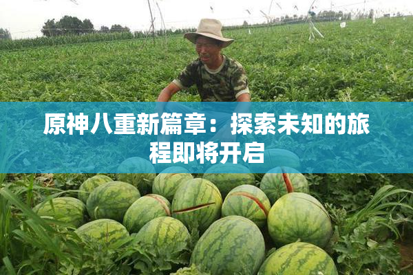 原神八重新篇章：探索未知的旅程即将开启