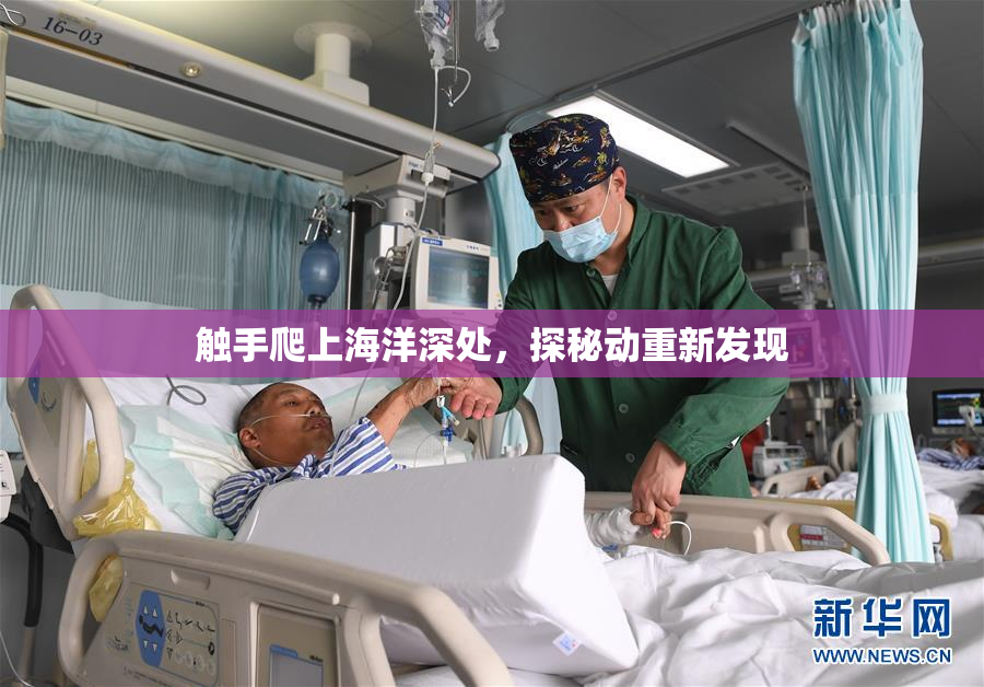 触手爬上海洋深处，探秘动重新发现