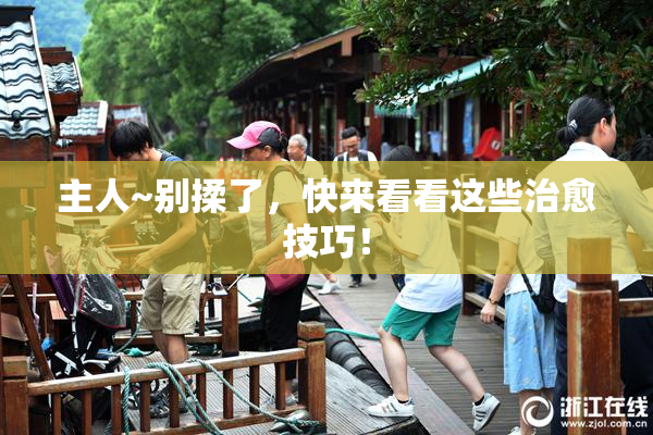 主人~别揉了，快来看看这些治愈技巧！