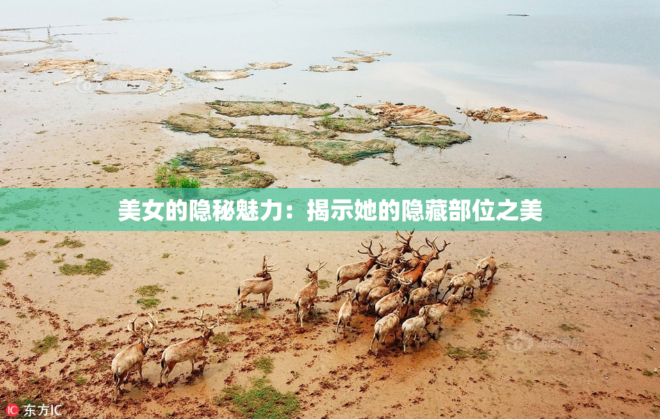 美女的隐秘魅力：揭示她的隐藏部位之美