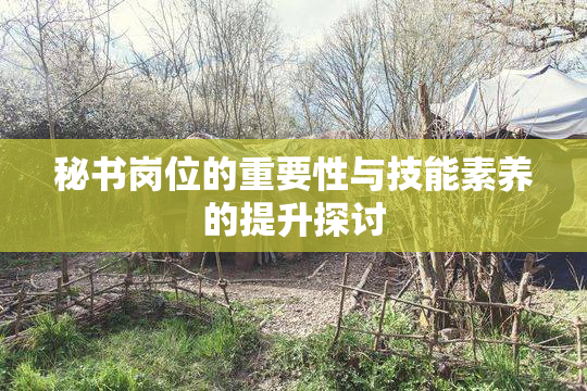秘书岗位的重要性与技能素养的提升探讨