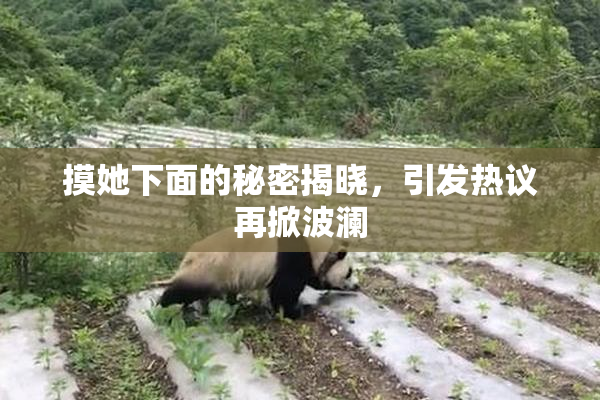 摸她下面的秘密揭晓，引发热议再掀波澜