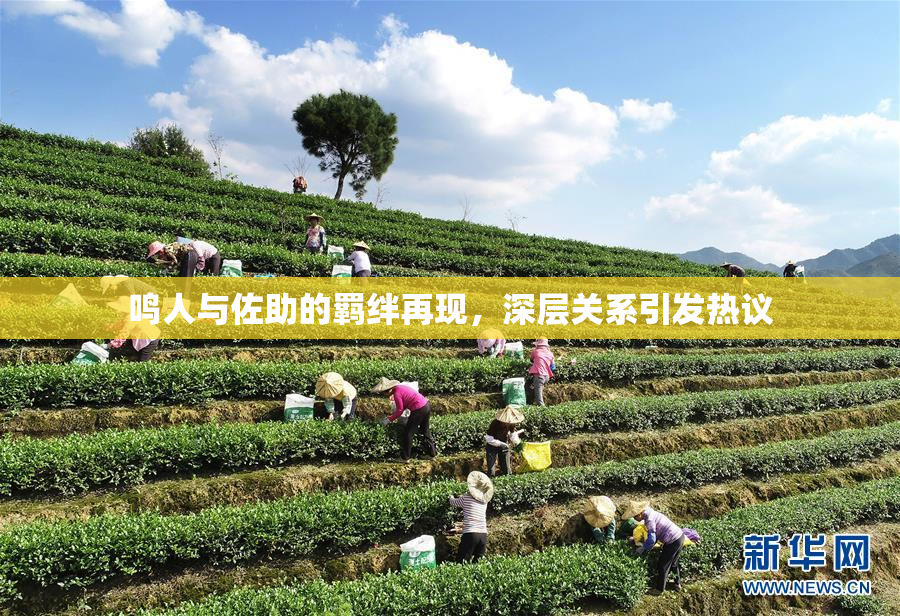 鸣人与佐助的羁绊再现，深层关系引发热议