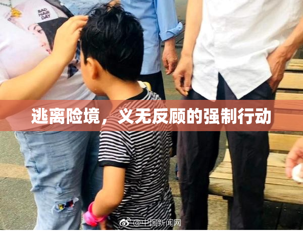 逃离险境，义无反顾的强制行动