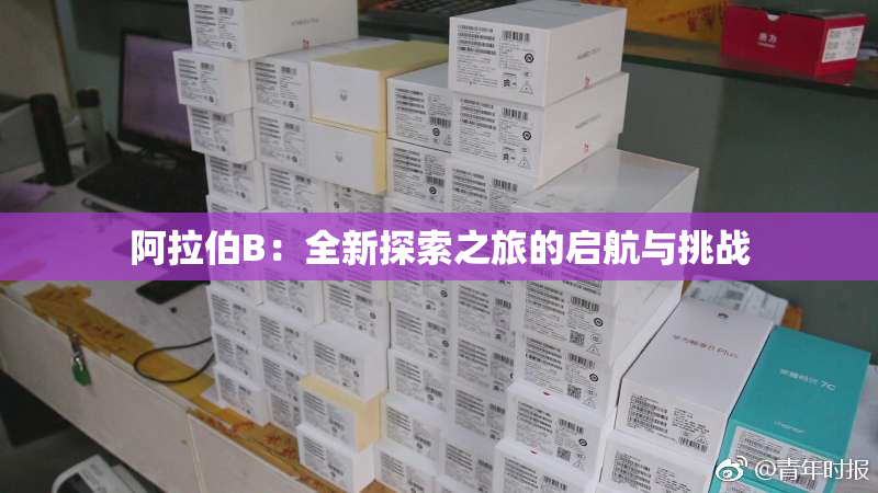 阿拉伯B：全新探索之旅的启航与挑战