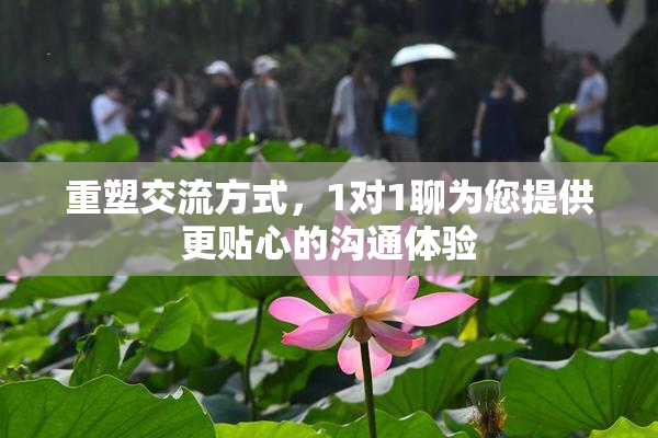 重塑交流方式，1对1聊为您提供更贴心的沟通体验