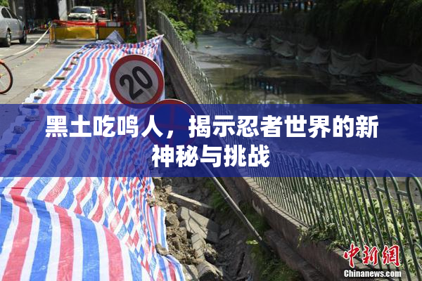 黑土吃鸣人，揭示忍者世界的新神秘与挑战