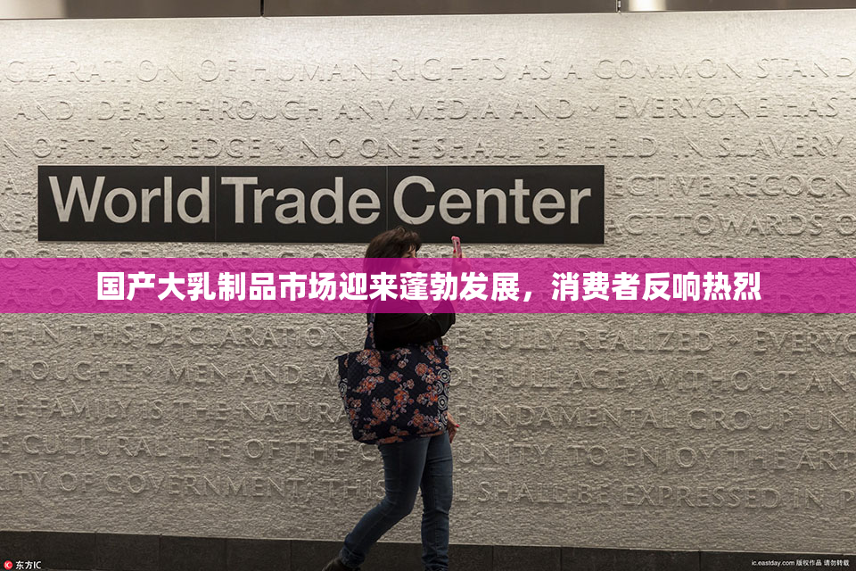 国产大乳制品市场迎来蓬勃发展，消费者反响热烈