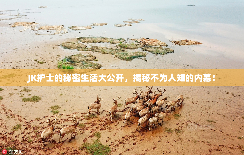 JK护士的秘密生活大公开，揭秘不为人知的内幕！
