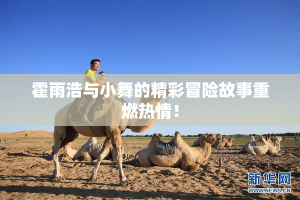 霍雨浩与小舞的精彩冒险故事重燃热情！