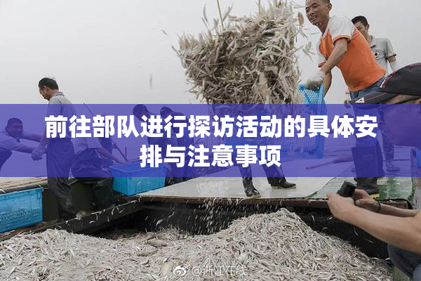 前往部队进行探访活动的具体安排与注意事项