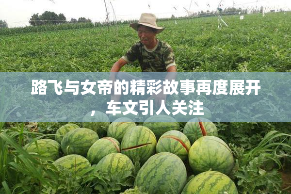 路飞与女帝的精彩故事再度展开，车文引人关注