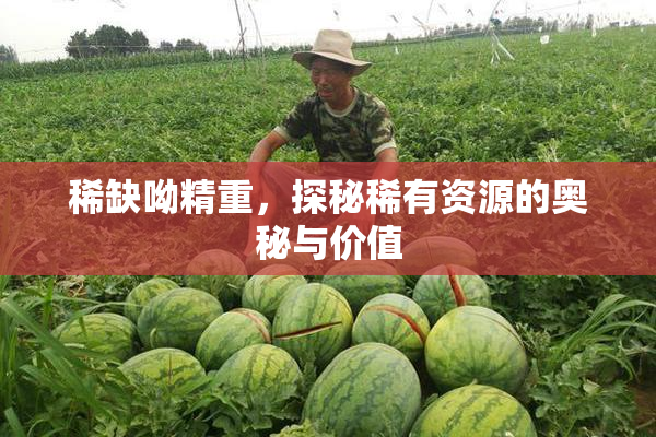 稀缺呦精重，探秘稀有资源的奥秘与价值