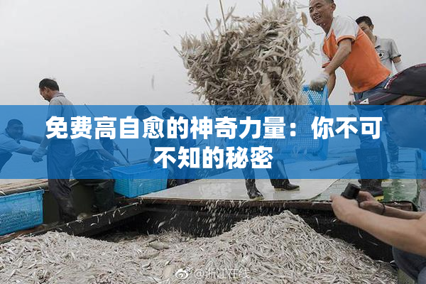 免费高自愈的神奇力量：你不可不知的秘密
