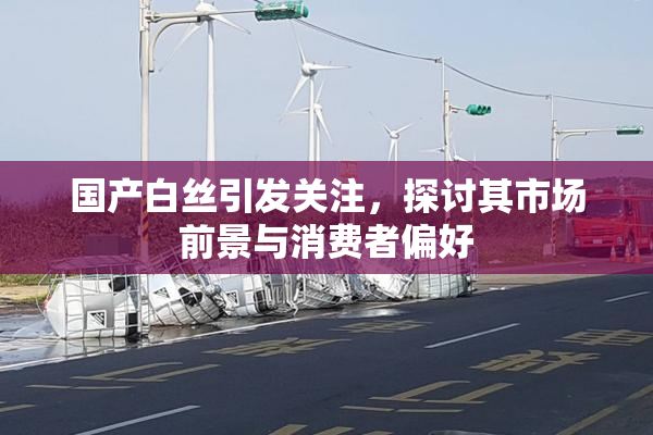 国产白丝引发关注，探讨其市场前景与消费者偏好