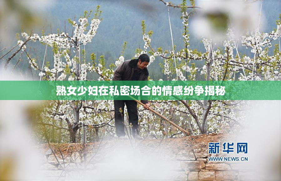 熟女少妇在私密场合的情感纷争揭秘