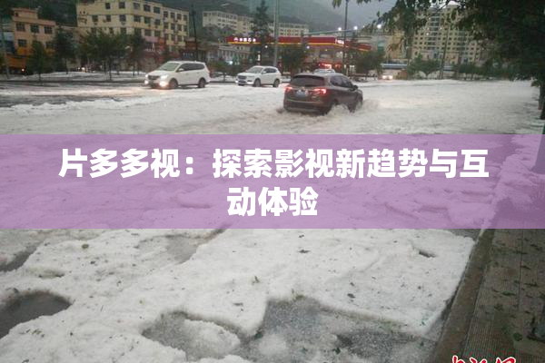 片多多视：探索影视新趋势与互动体验