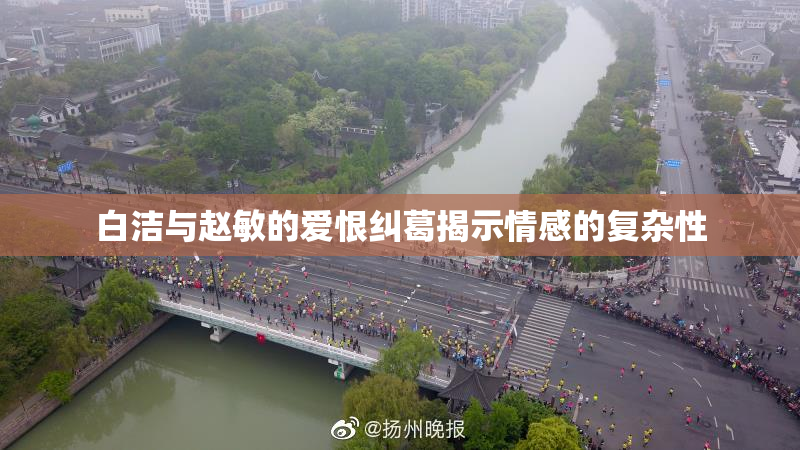 白洁与赵敏的爱恨纠葛揭示情感的复杂性