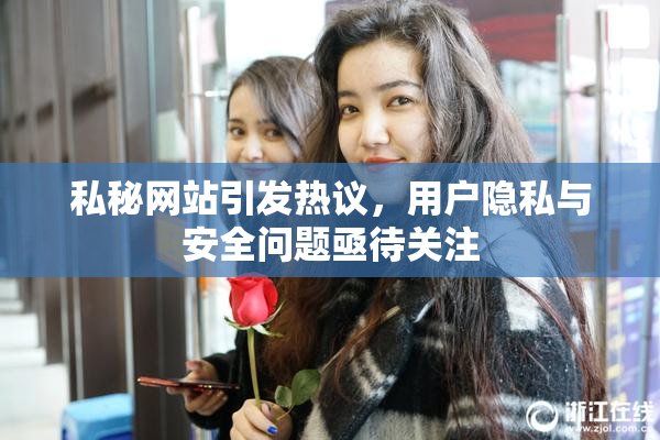 私秘网站引发热议，用户隐私与安全问题亟待关注