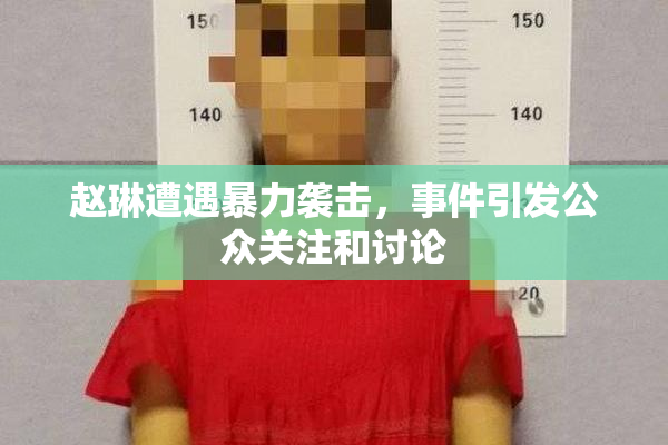 赵琳遭遇暴力袭击，事件引发公众关注和讨论