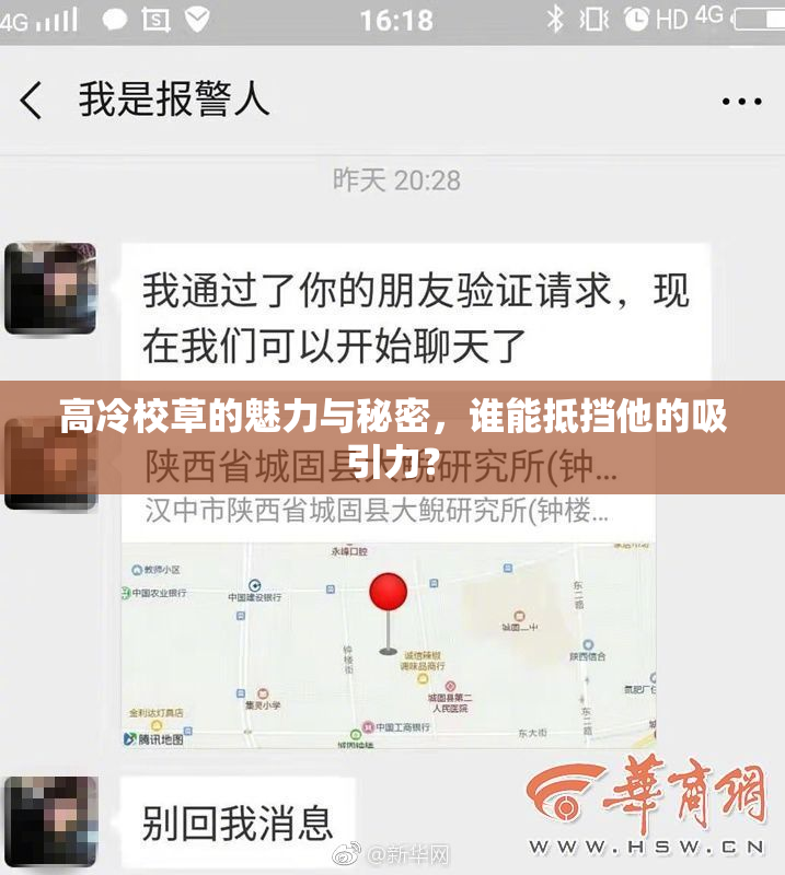 高冷校草的魅力与秘密，谁能抵挡他的吸引力？