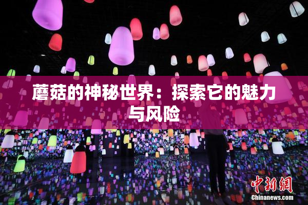 蘑菇的神秘世界：探索它的魅力与风险