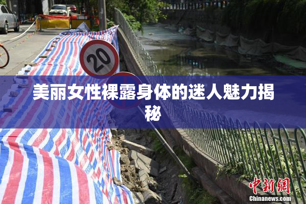 美丽女性裸露身体的迷人魅力揭秘