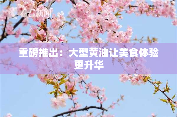 重磅推出：大型黄油让美食体验更升华