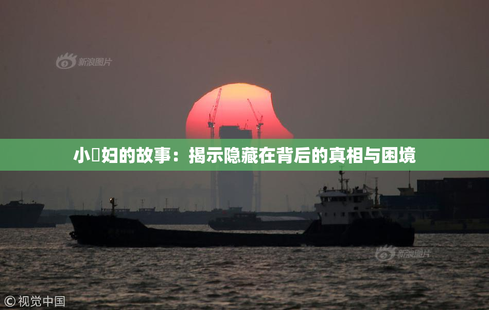 小婬妇的故事：揭示隐藏在背后的真相与困境