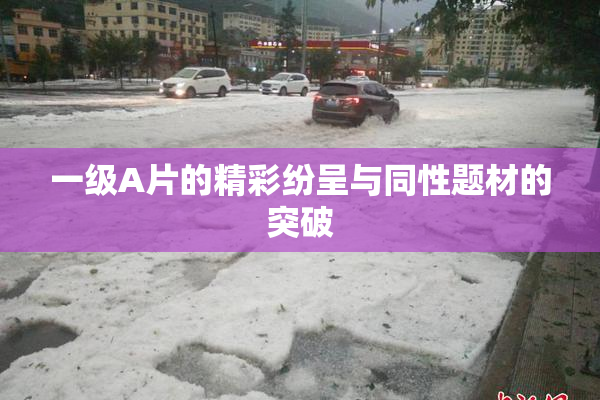 一级A片的精彩纷呈与同性题材的突破