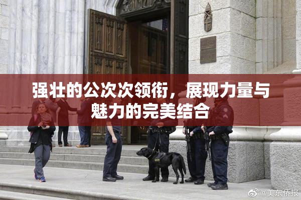强壮的公次次领衔，展现力量与魅力的完美结合