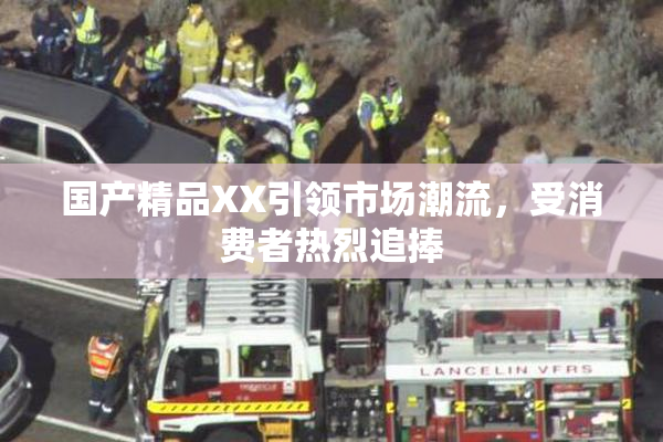 国产精品XX引领市场潮流，受消费者热烈追捧