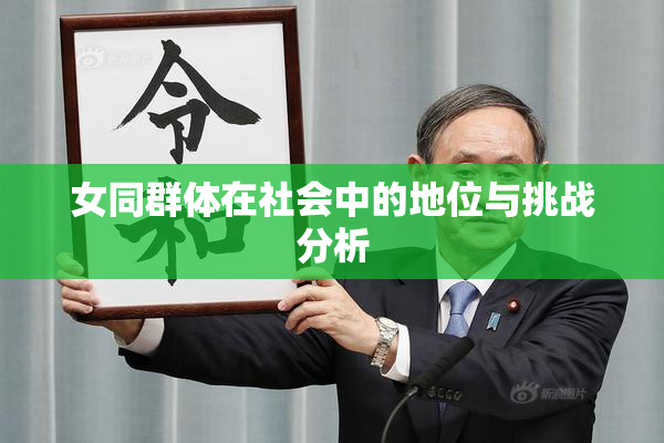 女同群体在社会中的地位与挑战分析