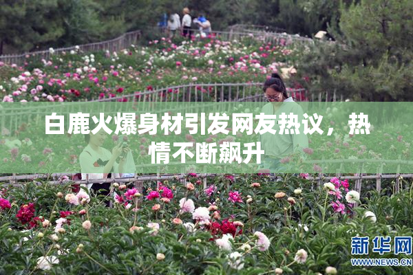 白鹿火爆身材引发网友热议，热情不断飙升