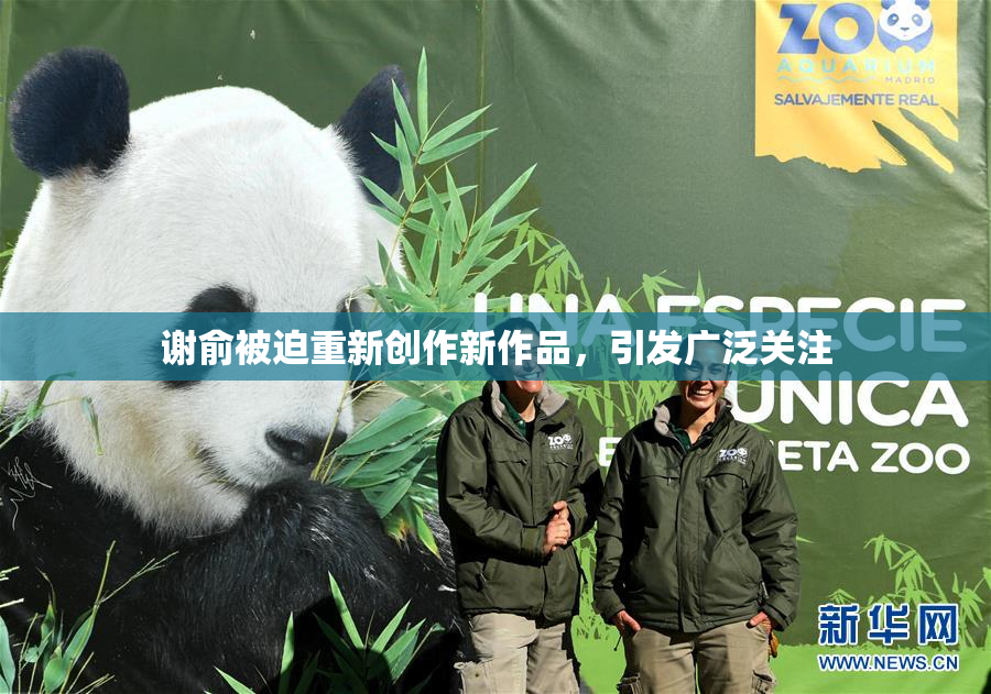 谢俞被迫重新创作新作品，引发广泛关注