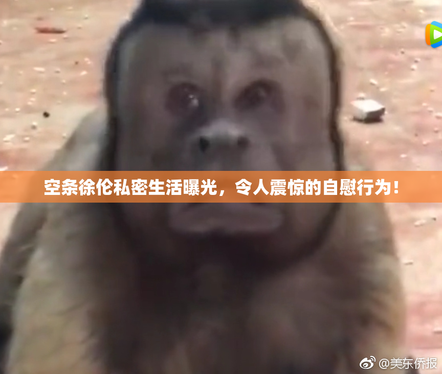 空条徐伦私密生活曝光，令人震惊的自慰行为！